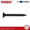 Dry Wall Screws